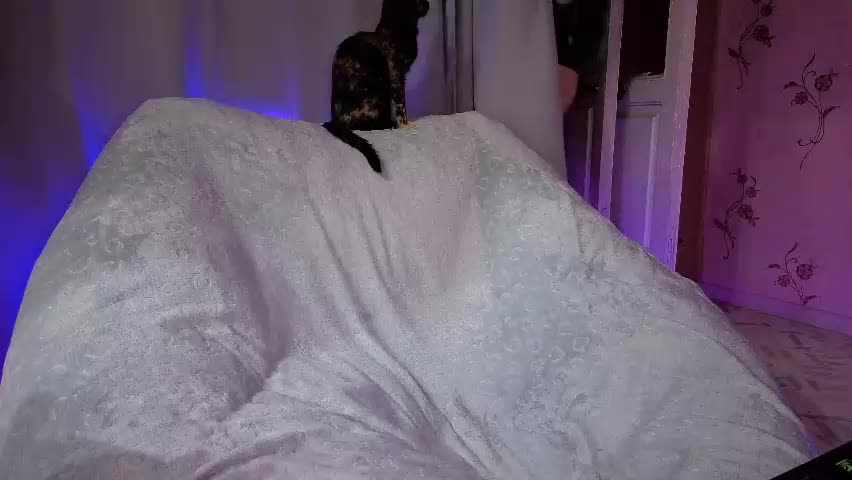 savannasotos Adult Chat April 22, 2026