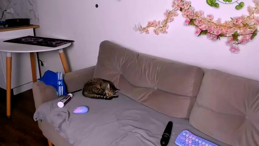 ladytrep Adult Chat April 22, 2026