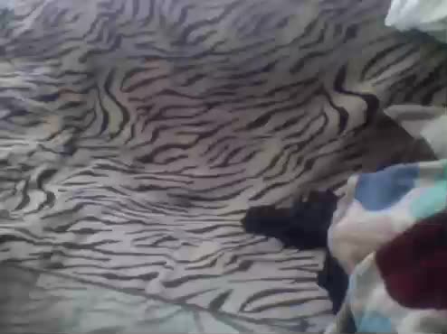 Pisya2354 Adult Chat April 22, 2026