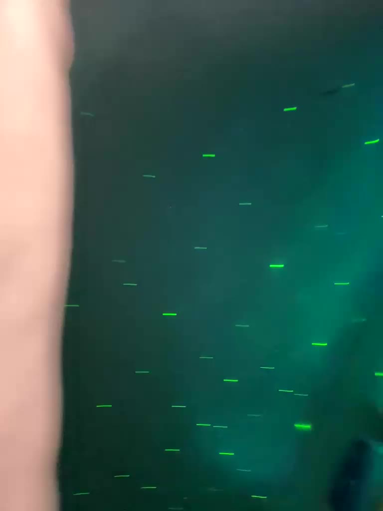 Amelia575-1 Adult Chat April 23, 2026