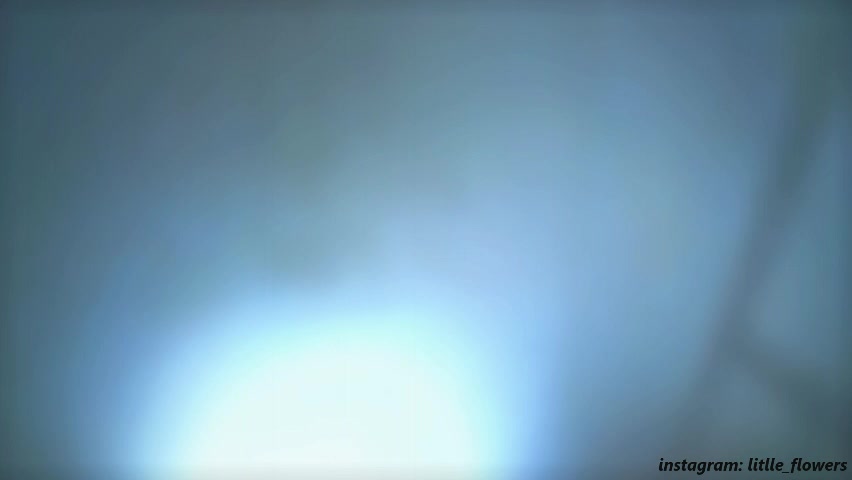 litlle_flowers Adult Chat April 23, 2026