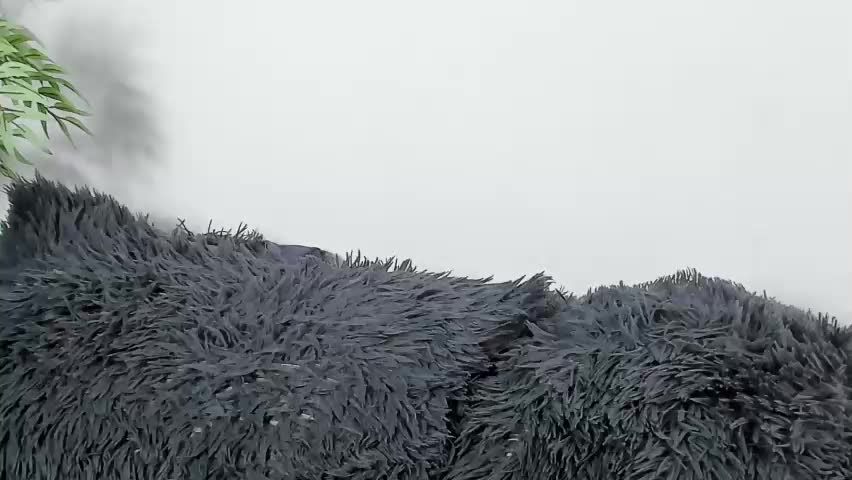 shazamairet Adult Chat April 25, 2026