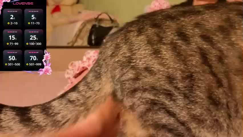 silviasexyy Adult Chat April 27, 2026
