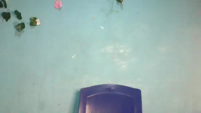 honey_bug2 Adult Chat April 28, 2026