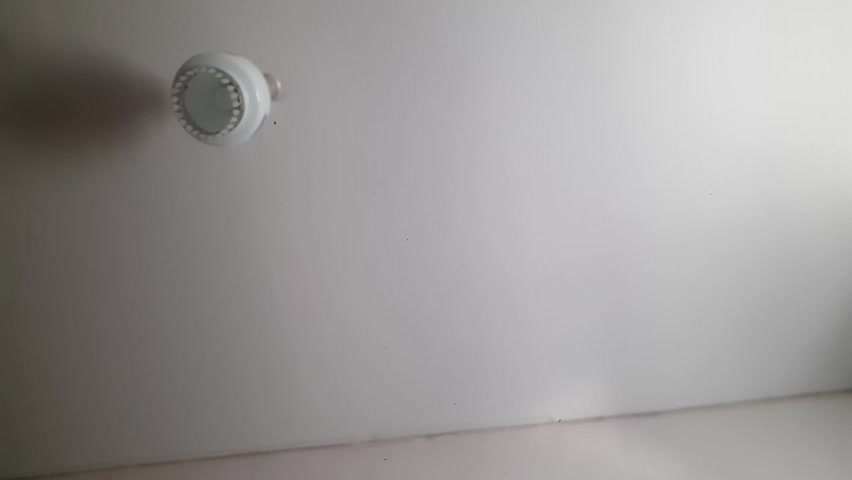 shawanaanene Adult Chat April 28, 2026