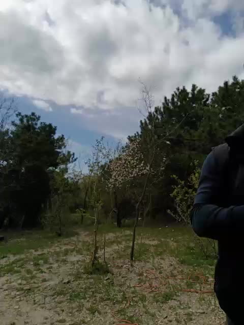 ___Pypsiki___ Adult Chat April 28, 2026