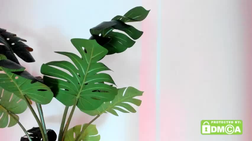 ashllovee_ Adult Chat April 28, 2026