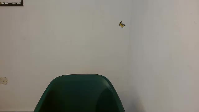 fariha_babyy Adult Chat April 30, 2026