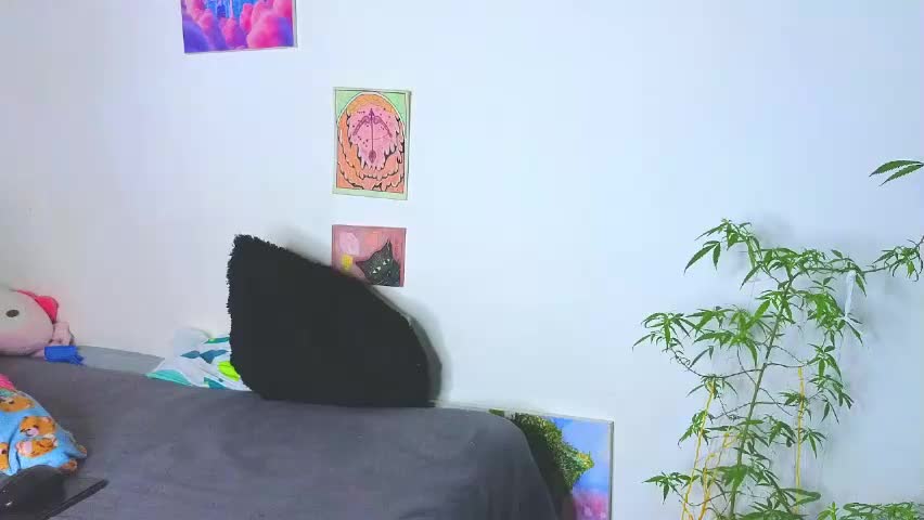 holy_taby_ Adult Chat April 30, 2026