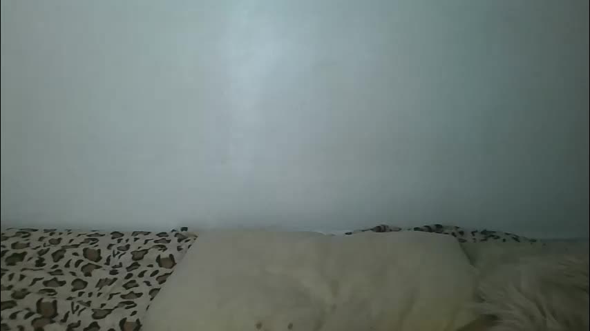 cotton_canddy Adult Chat April 30, 2026