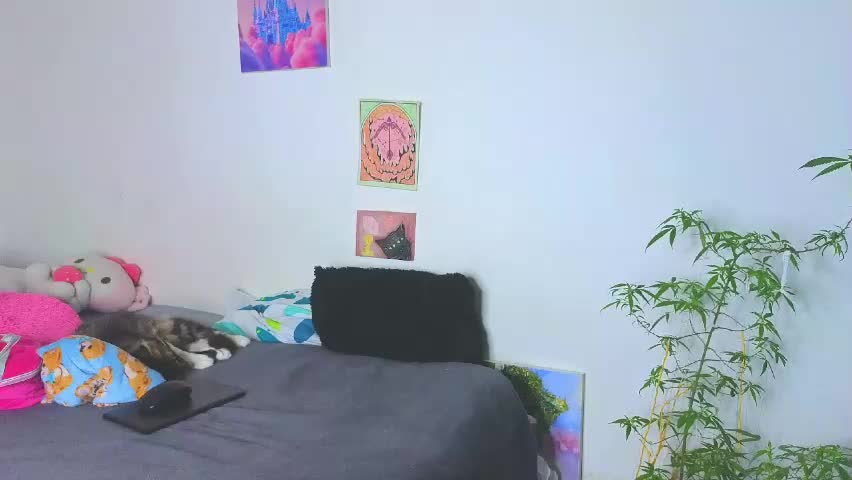holy_taby_ Adult Chat April 30, 2026