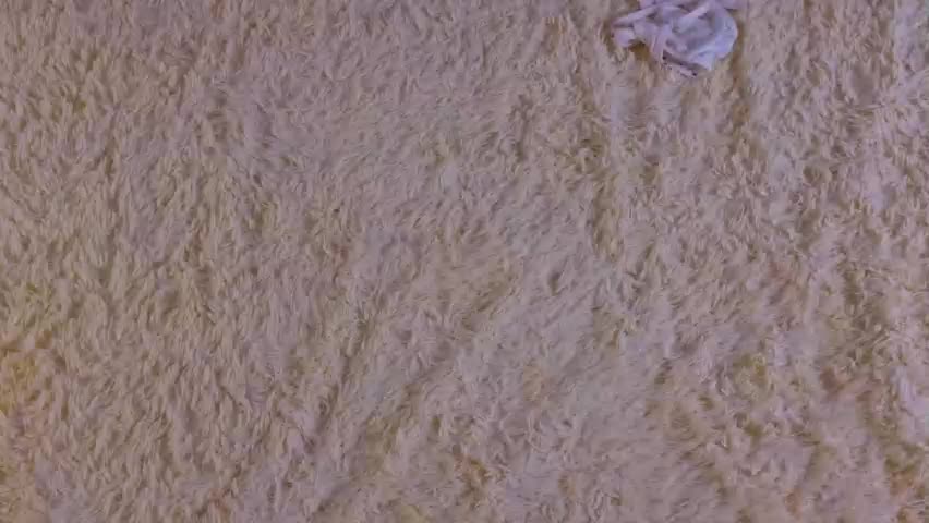 exciter_jane Adult Chat April 30, 2026