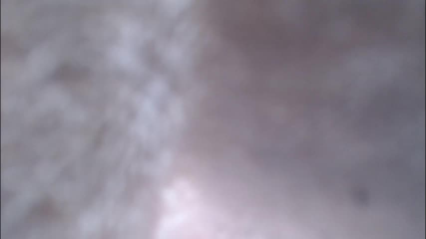 _burberry_ Adult Chat April 30, 2026