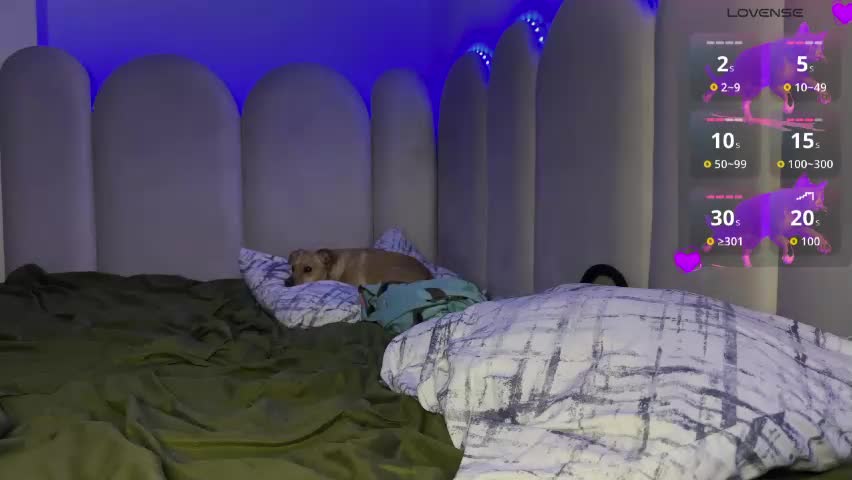 ms_ditaa Adult Chat May 1, 2026
