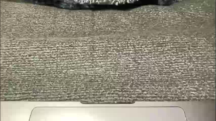 sammieplays Adult Chat May 2, 2026