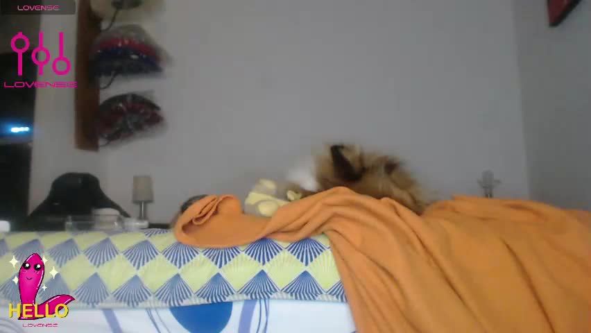 alguien_mas01 Adult Chat May 2, 2026