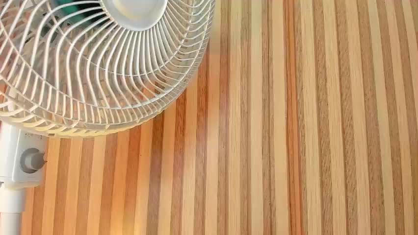mila_grace_ Adult Chat May 3, 2026