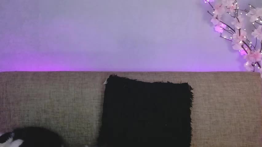haru_blossom Adult Chat May 3, 2026