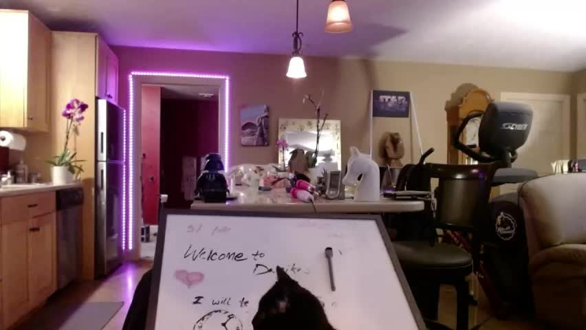 danikawhite69 Adult Chat May 5, 2026