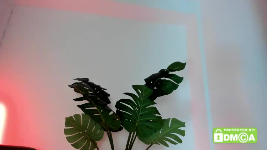 ashllovee_ Adult Chat May 5, 2026