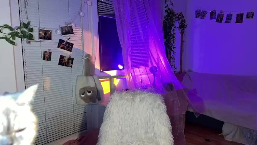 jenny_cox_love Adult Chat May 6, 2026