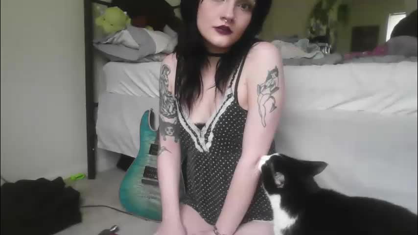 kattattacck Adult Chat May 6, 2026