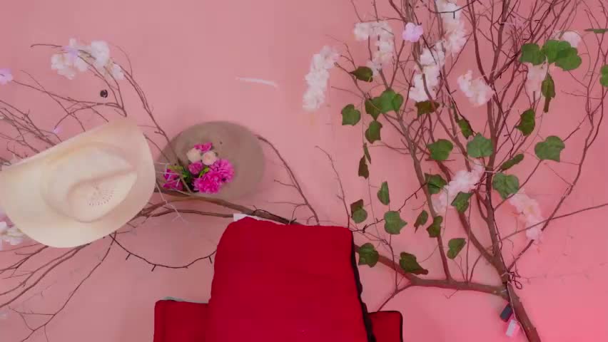 charlotte_love10 Adult Chat May 6, 2026