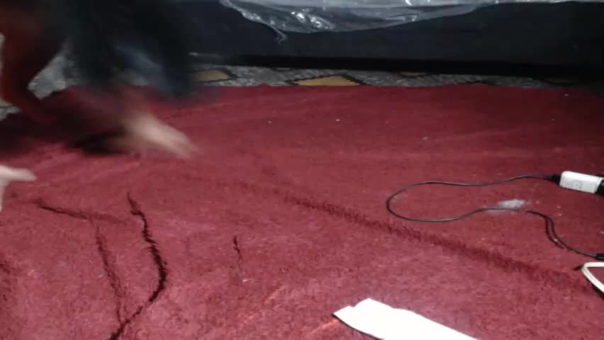 lovecreyzyshowcam Adult Chat May 6, 2026
