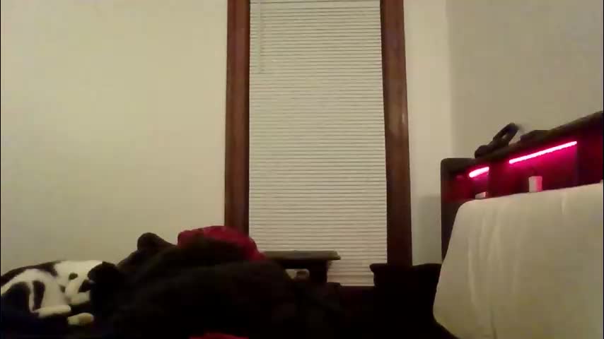 princessjay00 Adult Chat May 6, 2026