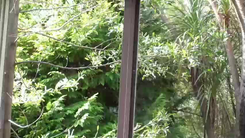 belen_osqura Adult Chat May 6, 2026