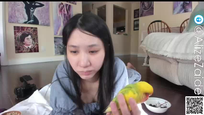alizezaide Adult Chat May 7, 2026