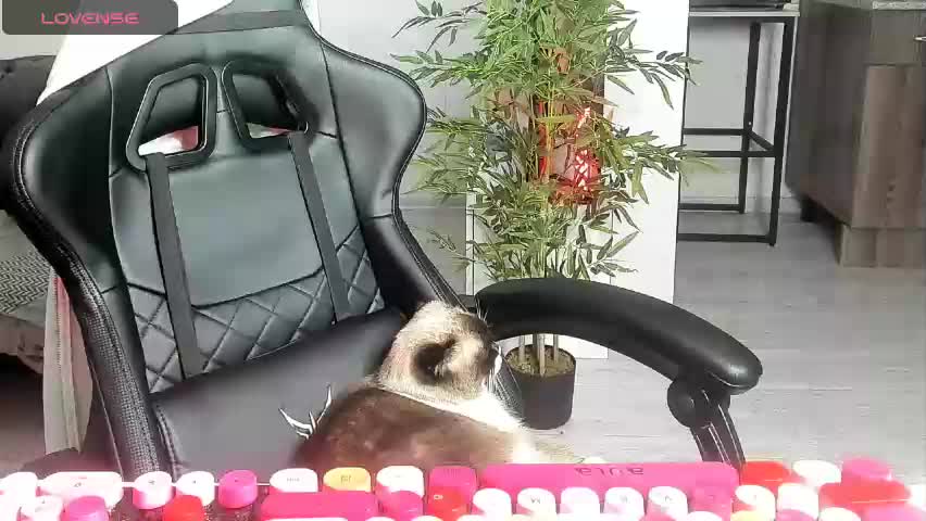 k_and_alice Adult Chat May 7, 2026