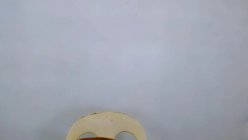 expensive_elise Adult Chat May 7, 2026
