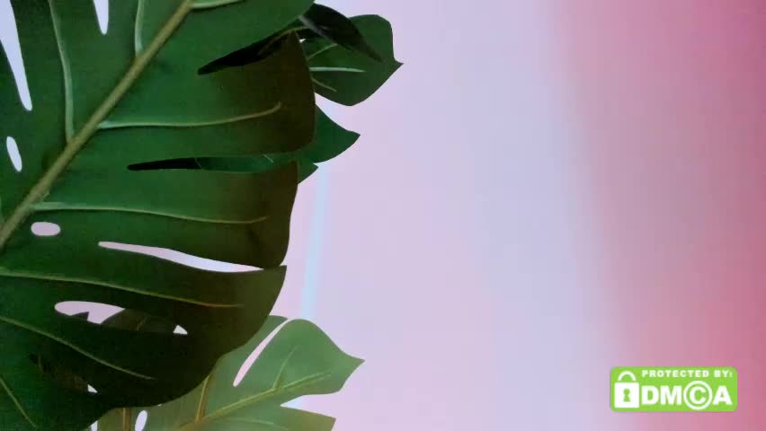 ashllovee_ Adult Chat May 7, 2026