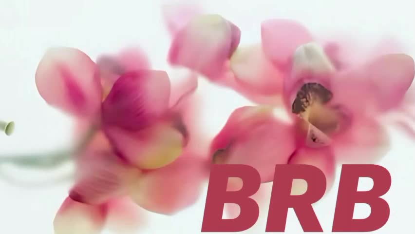 lilybriex Adult Chat May 7, 2026