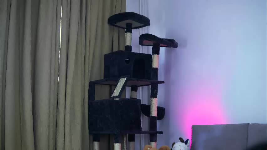 hotmollyx Adult Chat May 8, 2026