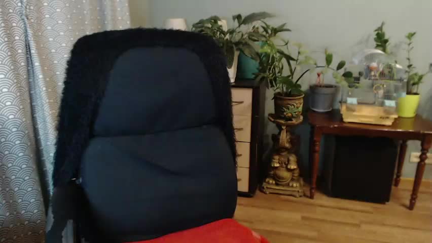 nika_black111 Adult Chat May 8, 2026