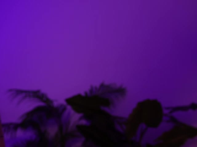 MilaFlame Adult Chat May 11, 2026