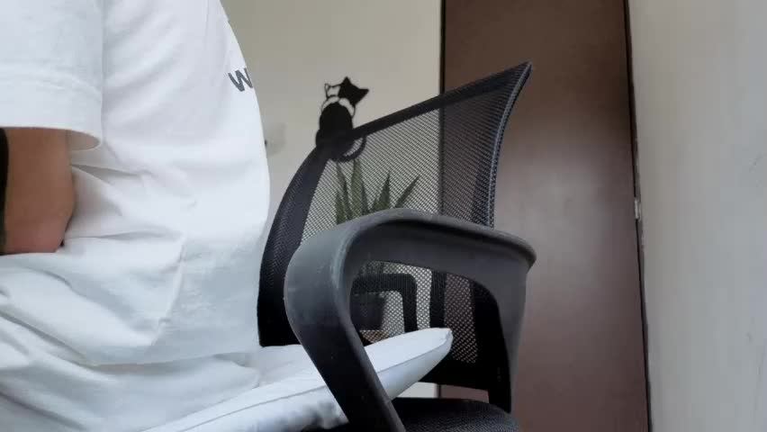 arteemiis Adult Chat May 10, 2026