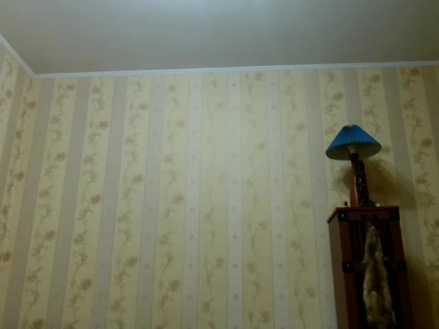 Valenttijm3851 Adult Chat May 11, 2026