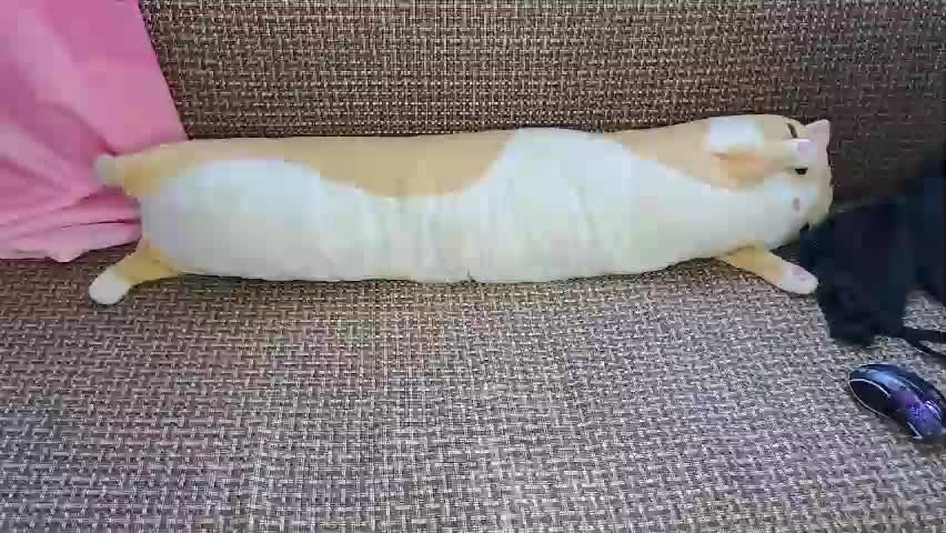 lucy_curvy Adult Chat May 12, 2026