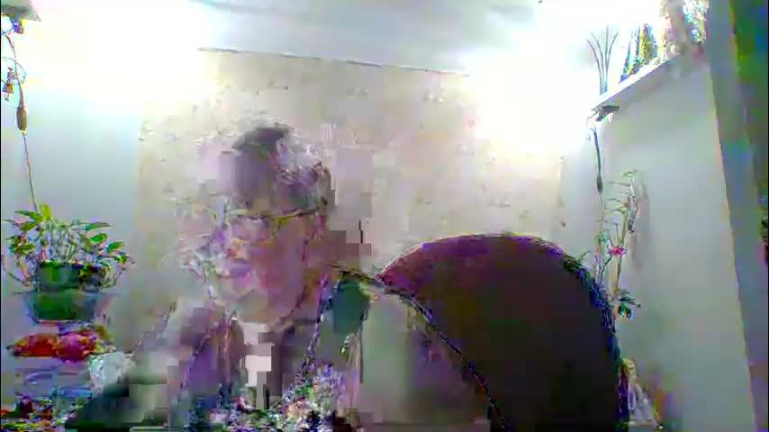 ivyjane3522 Adult Chat May 13, 2026