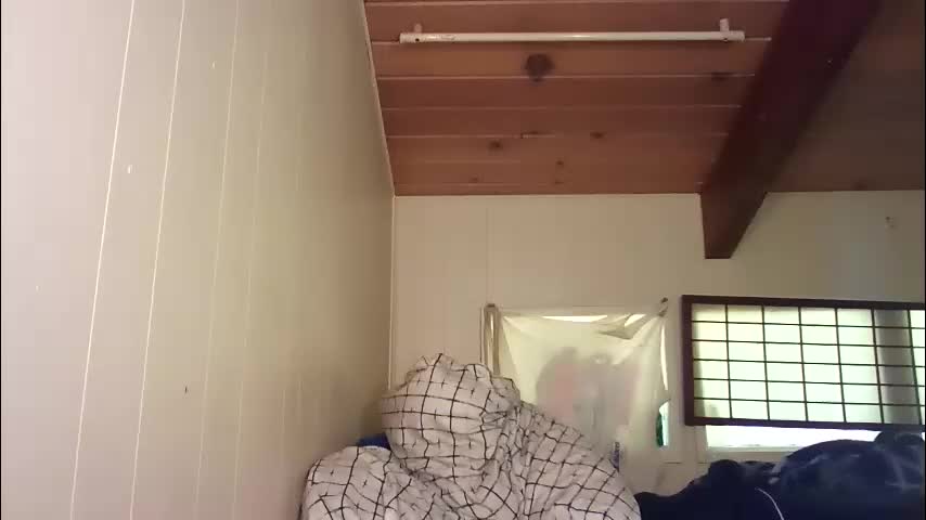 drippingkitcat Adult Chat May 14, 2026