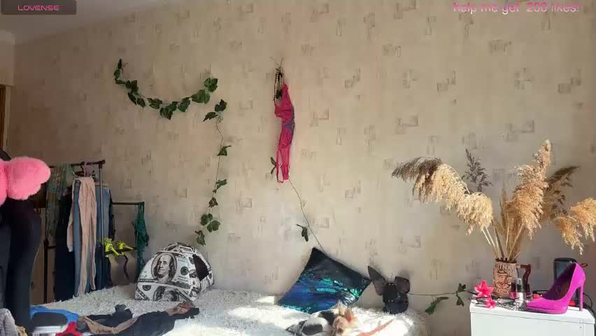 sheslike_firstlove Adult Chat May 14, 2026