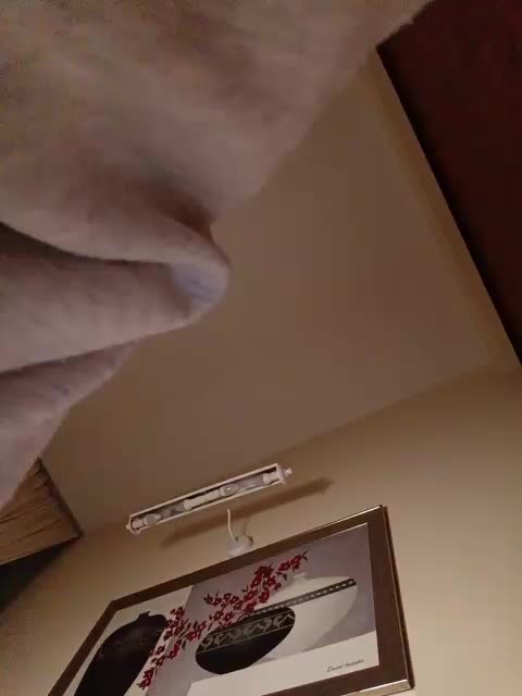 LI_LISA Adult Chat May 18, 2026