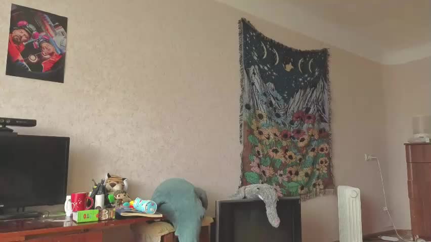 fredmurrietta Adult Chat May 19, 2026