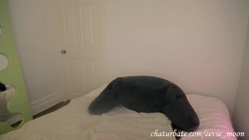 eevie_moon Adult Chat May 21, 2026