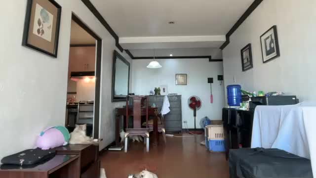 tina_slick Adult Chat May 22, 2026