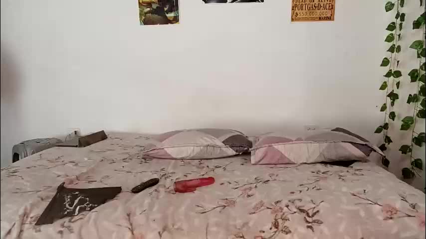 swee__kitten Adult Chat May 22, 2026