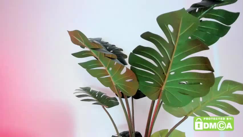 ashllovee_ Adult Chat May 23, 2026